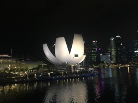 lotus singapore